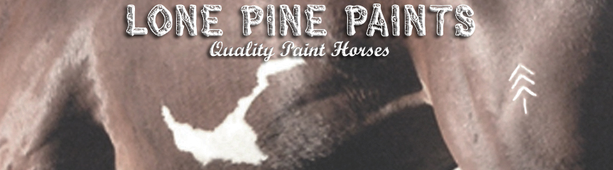 lonepinepaints