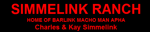 Simmelinks